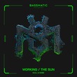 W.D.L & NOBE - Working / the Sun