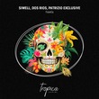 Siwell, Patrizio Exclusive, Dos Rios - Favela