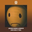 Jerome Robins, Breeve - How Does It Feel