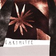 EarthLife, TOMMY WAX - For The Fucking Crowd