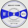 Richard Vission - Can't You See