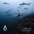 Enzo Monza, Aedan Terra, Aplexo - Purified Fragments XXX