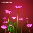 Volkoder - Party In Bloom