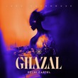 Delhi Cartel, Indo Warehouse - Ghazal
