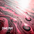 CamelPhat - Sunshine (Liva K Extended Remix)
