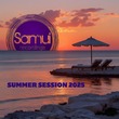 VA - Summer Sessions 2025