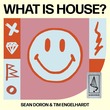 Tim Engelhardt, Sean Doron, Scenarios - What Is House?