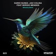 Dario Nunez, Javi Colina, Sergio Mendes - Magalenha (original mix)
