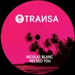 Nicolas Blanc - Needed You