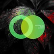 Indifferent Guy, Boosin - Heartbeat
