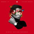 Tyler Rochi - Shake It