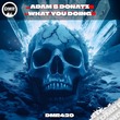 Adam S Donatz - WHAT YOU DOING