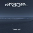 Cristian Poow - Do You Feel (What I Feel) (Tribal Mix) Cristian Poow - Do You Feel (What I Feel) (Tribal Mix)