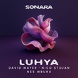 David Mayer, Nico Stojan - Luhya
