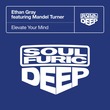 Mandel Turner, Ethan Gray - Elevate Your Mind - Extended Mix