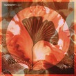 Anturage, Alexey Union, Alar - More Power
