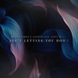 Martin Garrix, Saksham, Scott Quinn - Ain't Letting You Down - Extended Mix Martin Garrix, Saksham, Scott Quinn - Ain't Letting You Down - Extended Mix