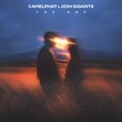 CamelPhat, Josh Gigante - The One (Extended Mix)