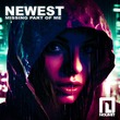 Newest - Missing Part of Me