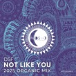 DSF - Not Like You (2025 Organic Mix) DSF - Not Like You (2025 Organic Mix)