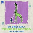 Gal Shimol, ARLY (IL) - Tribe Reaction Gal Shimol, ARLY (IL) - Tribe Reaction