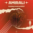 Amirali - Endless High