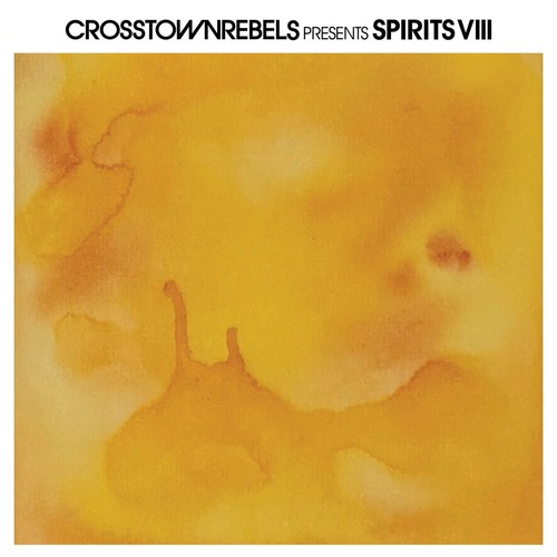 VA - Crosstown Rebels present SPIRITS VIII