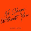Shimza, LevyM - No Shape Without You (Extended Mix) Shimza, LevyM - No Shape Without You (Extended Mix)