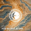 Mr. V, Tayllor, Joezi - You're Not Alone