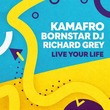 Richard Grey, Bornstar Dj, Kamafro - Live Your Life