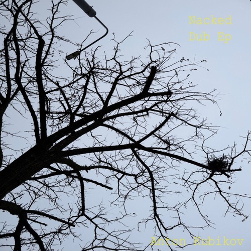 Anton Kubikov – Naked Dub [RT022] — Download Techno (Raw / Deep / Hypnotic) 2026 (Lossless/FLAC)