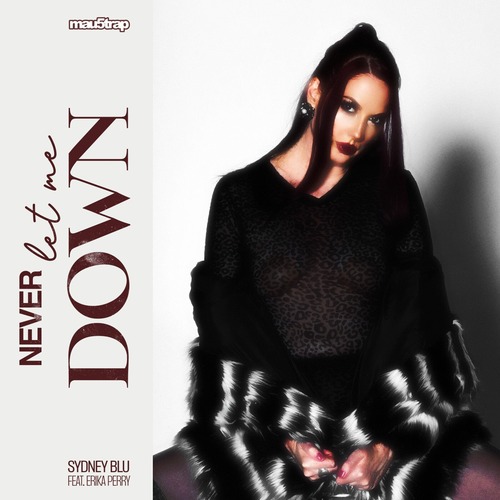 Sydney Blu - Never Let Me Down (Feat. Erika Perry)
