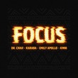 VA - FOCUS