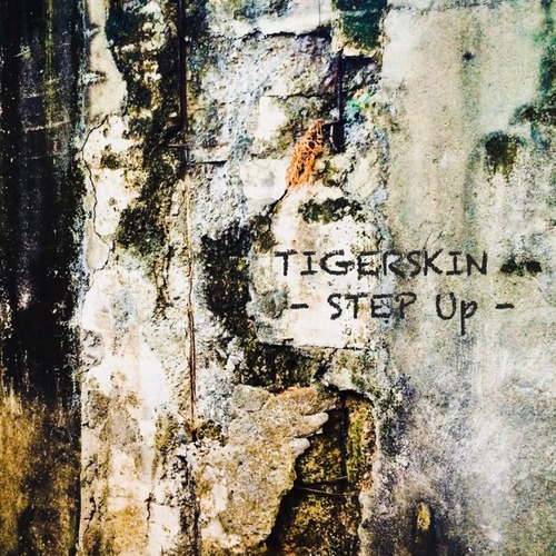 Tigerskin – Step Up EP [FF062] — Download Deep House 2026
