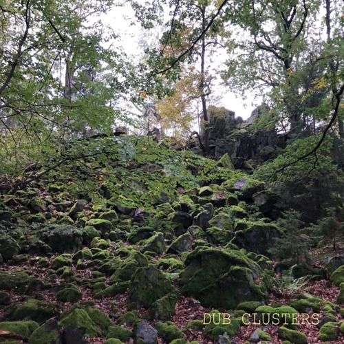 Anton Kubikov - Dub Clusters (2026) [Randomart] Electronica