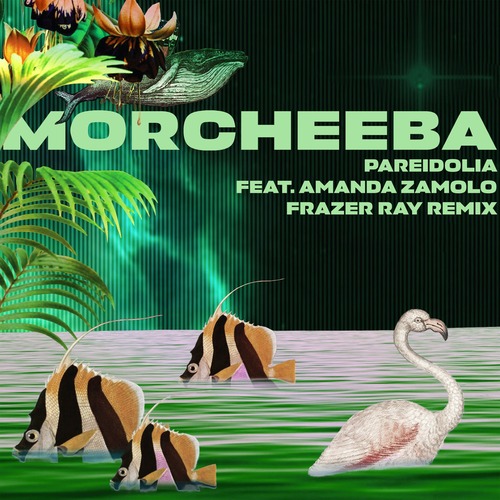 Morcheeba, Amanda Zamolo – Pareidolia (Frazer Ray Remix) [Verycords] — Breaks 2026 