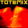 VA - TotemiX (feat. Fatoumata Diawara) [Extended]