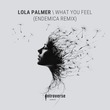 Lola Palmer - What You Feel