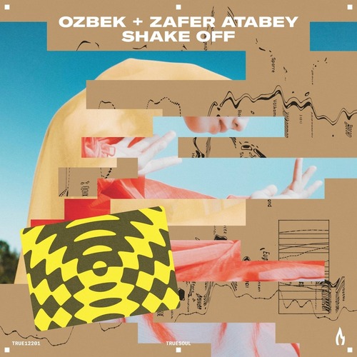   OZBEK, Zafer Atabey - Shake Off (TRUE12201)