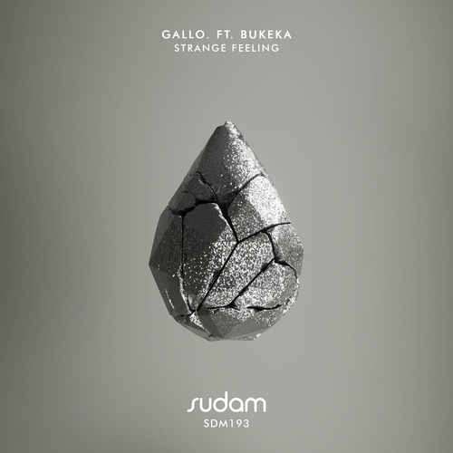 Bukeka, Gallo. – Strange Feeling [Sudam Recordings] — Afro House 2026