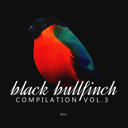 Various Artists – Black Bullfinch Compilation, Vol. 3 [Bullfinch] — Melodic Techno / Progressive 2026 (320kbps)