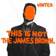 Vinter (BR) - This Is Not The James Brown (Extended Mix)