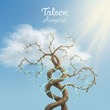 Taleon - Avoyara