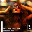 Moe Turk, Emre Kabak - Free Your Mind