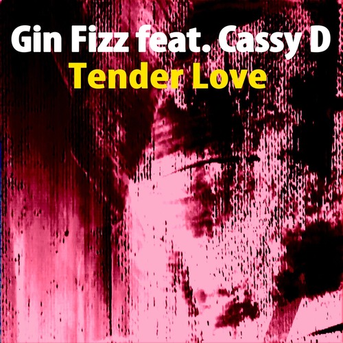 Cassy D, Gin Fizz – Tender Love (Nu Ground Foundation Mixes) [TheWayYouDoIt] — House 2026