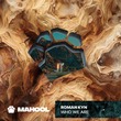 Roman Kyn - Who we are (Extended Mix)