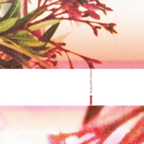 TEED – Always With A Remix [Nice Age Music] — Nu-Disco / House 2026 