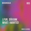 J.Fur, DÜKANK - What I Wanted