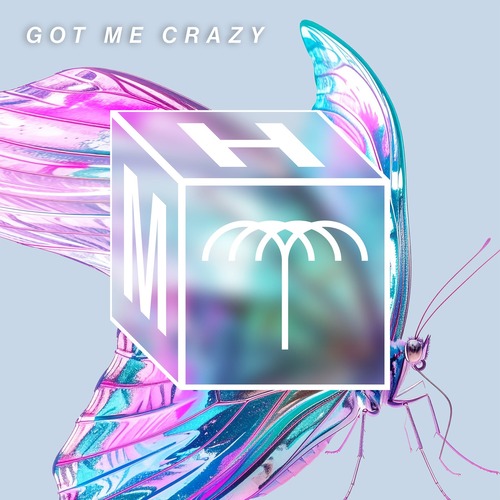 Volkoder, Adam Ten - Got Me Crazy (Extended Mix)