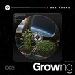 Victor Vergara, Cicibi - Growing